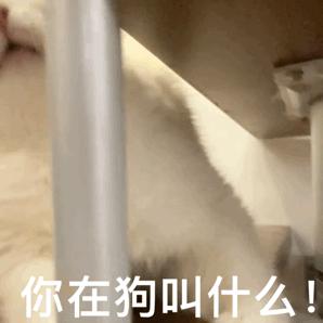 热门微信表情包收藏,微信那些可爱的表情包