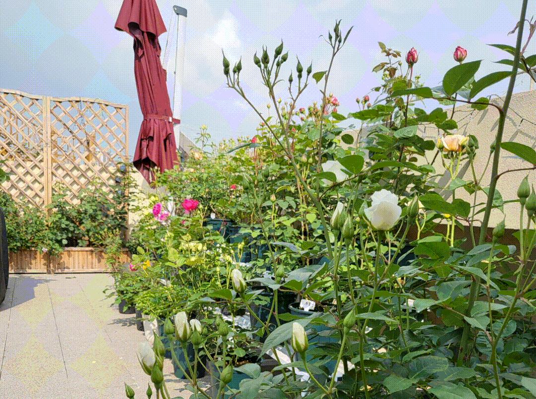 生意难做赚钱秘诀,做生意赚钱的5点秘诀