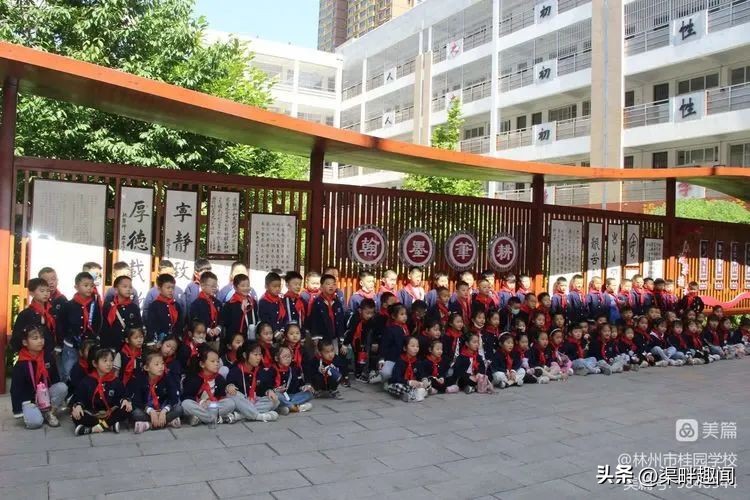 聚焦德育活动促学生全面发展,聚焦入学助力儿童成长公开课