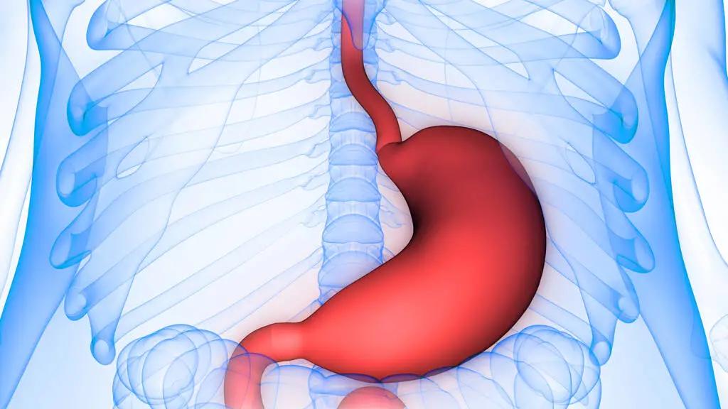 胃里有石头是怎么回事,胃里面有石头是因为什么