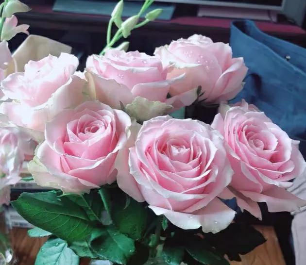 七种玫瑰花颜色的花语,14朵玫瑰的寓意