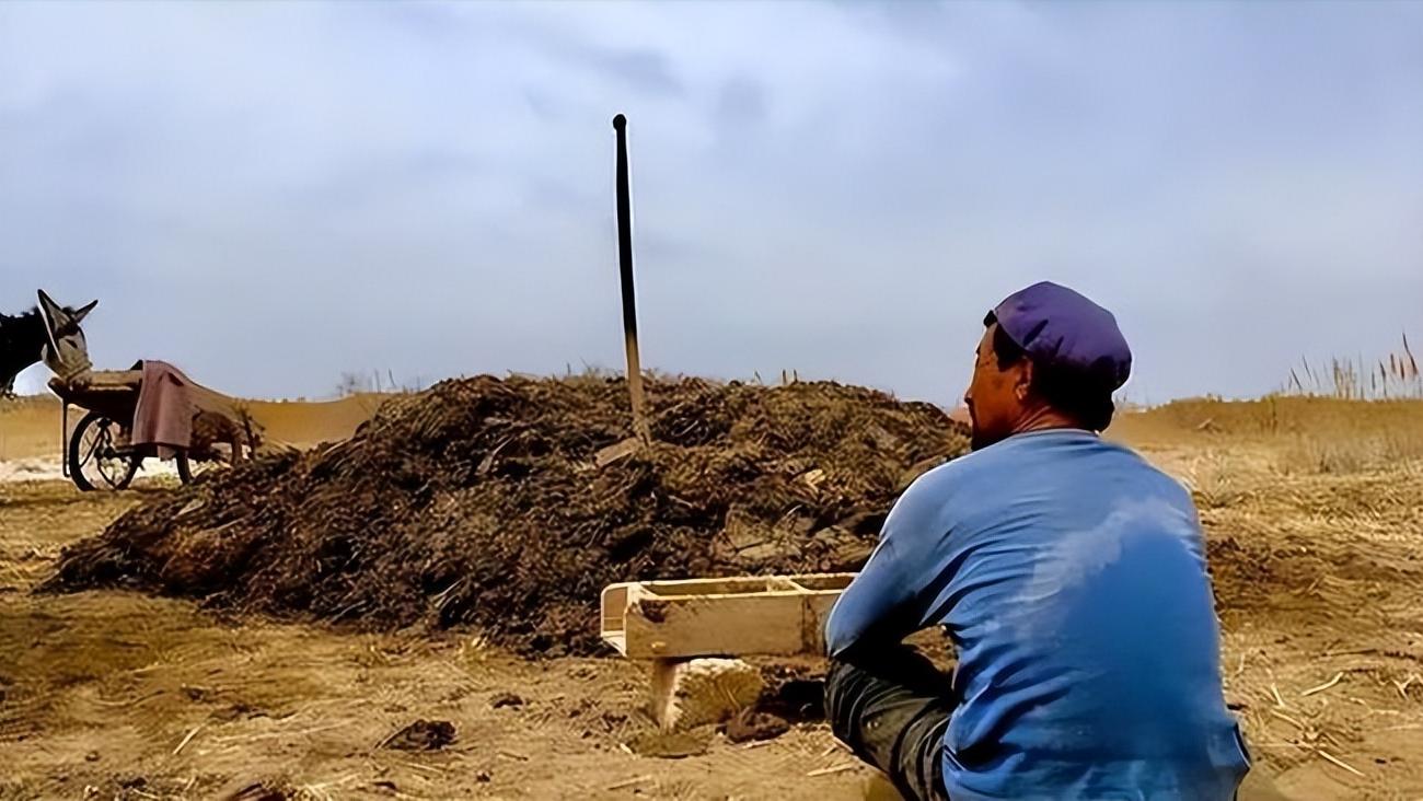 土地《失语者》边缘人物《隐入尘烟》