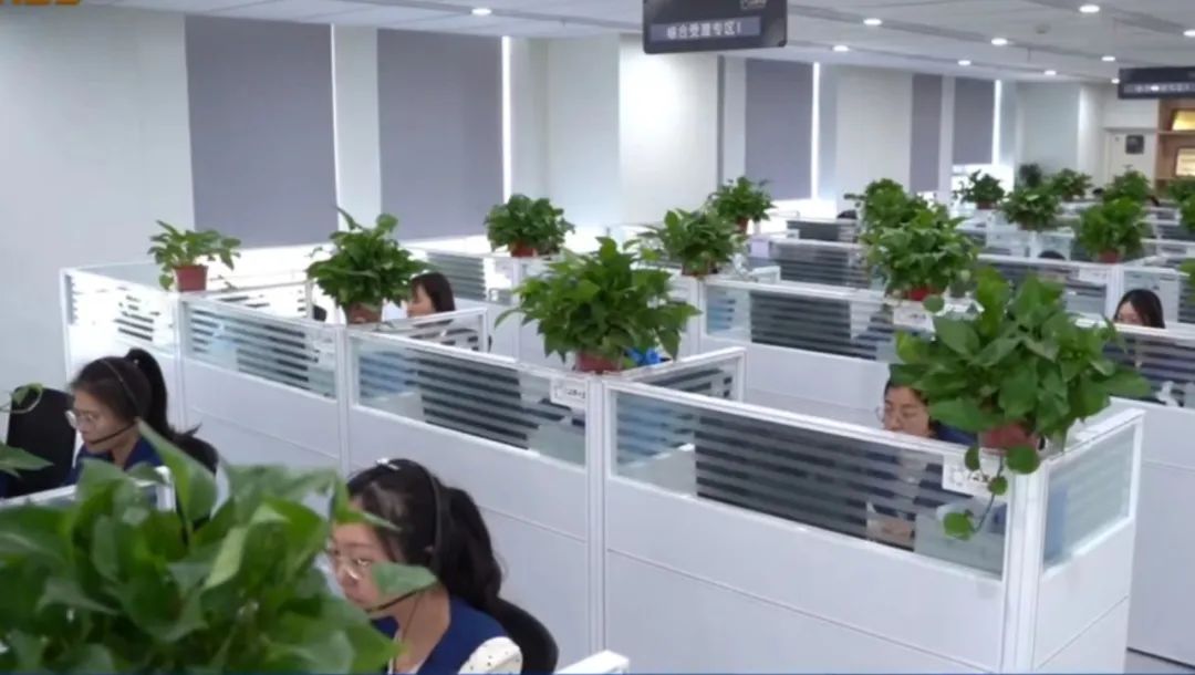 南京为什么那么热还那么多人来玩,南京旅游为什么火了