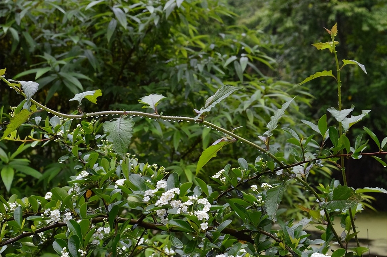 宣恩一座小城,湖北宣恩美丽的小城