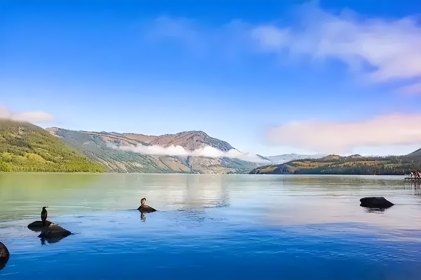 1992年，河北男子花30万买两只病鼠，几年后反而大赚8000万