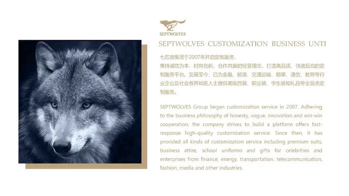 中国服装品牌排行榜2021,2021定制服装十大品牌