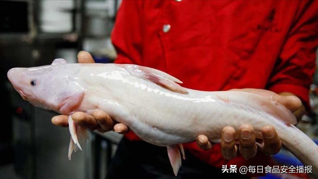 注意，北京再曝7批问题食品，含鮰鱼、菠菜、豇豆、韭菜、姜