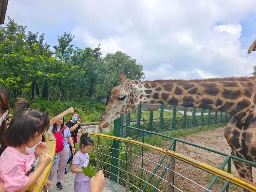 东营秋季旅游攻略,秋天东营旅游攻略必玩的景点