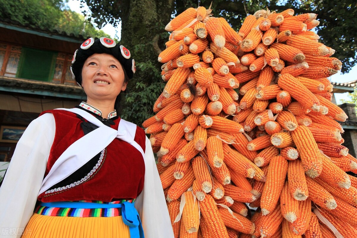 黄帝要干农活，舜帝要打鱼，“何不食肉糜”对于远古帝王也是笑话