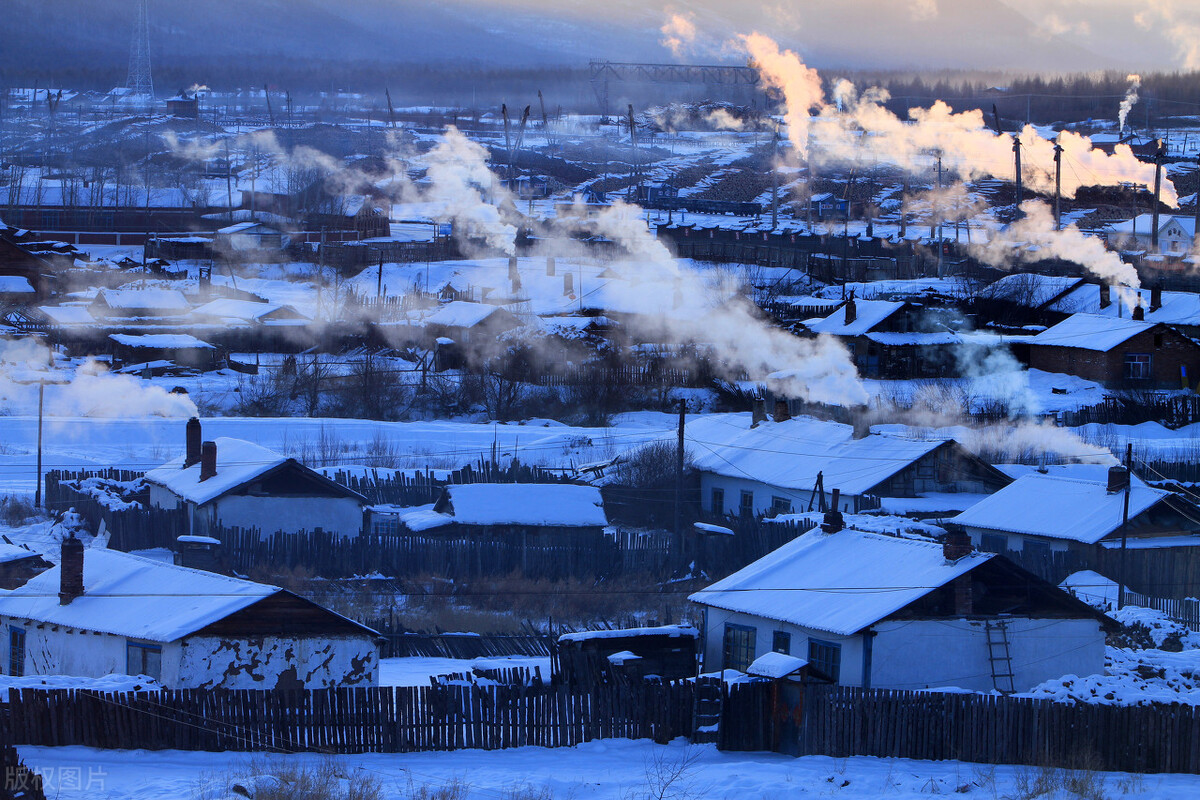 纯正大兴安岭野生榛子,野生榛子大兴安岭