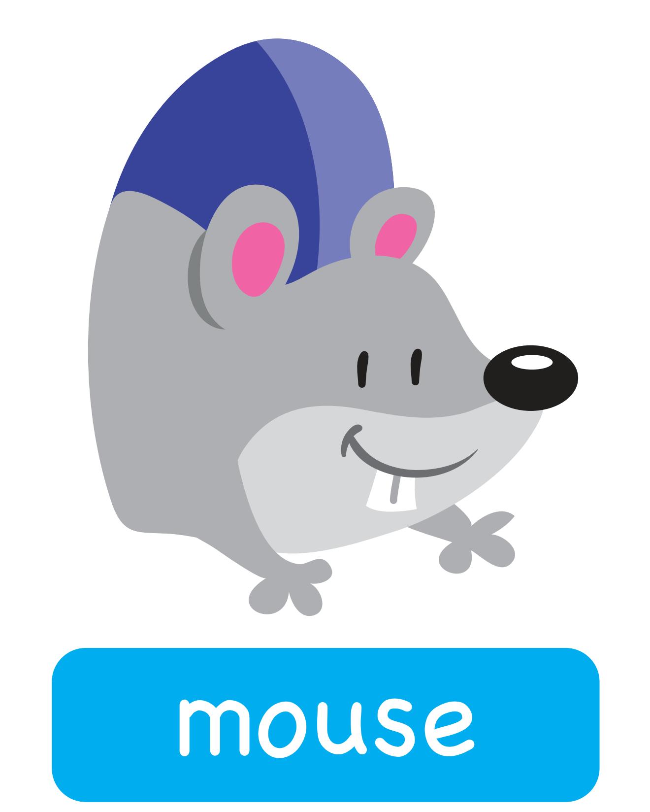 图说英语单词：高清动物类卡片，一图一单词