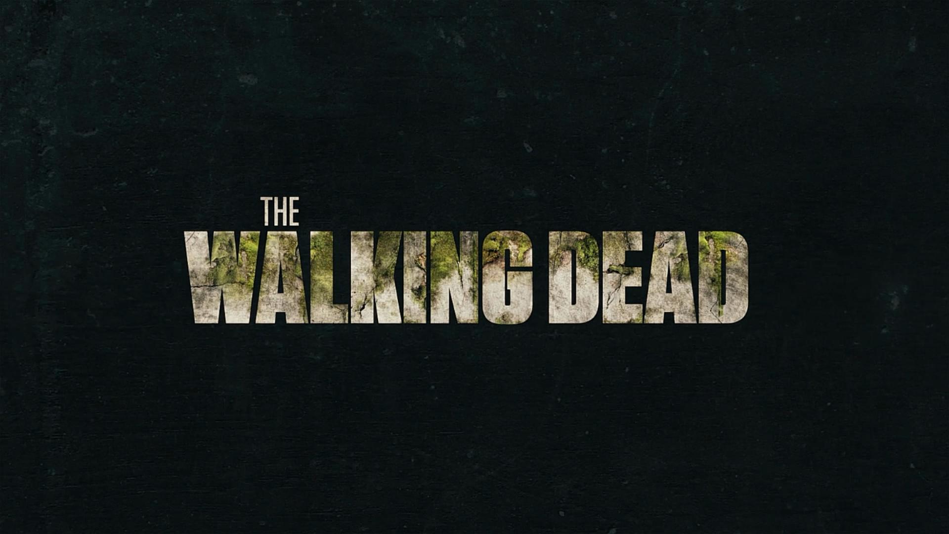 行尸走肉大结局弩哥,行尸走肉12季死亡之城