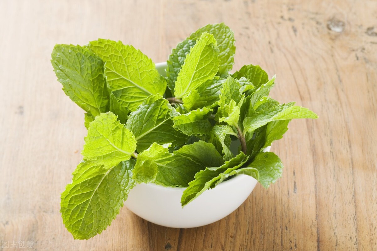 薄荷有收缩毛孔作用吗,绿茶薄荷可以蒸脸吗