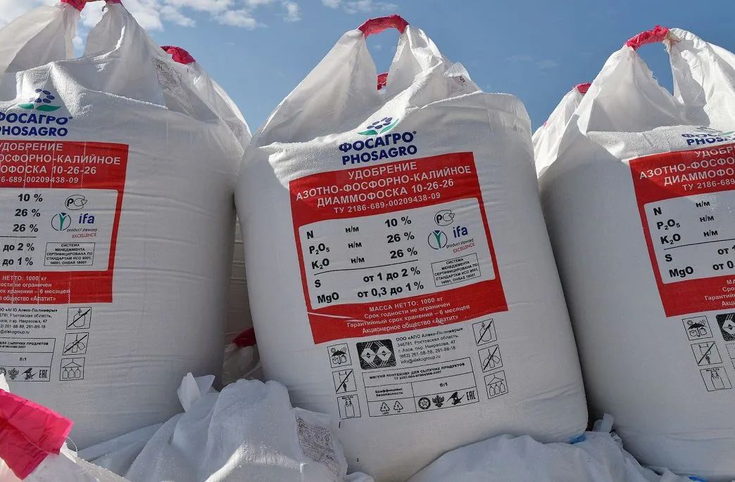 摩洛哥—掌握世界粮食供应的又一把钥匙