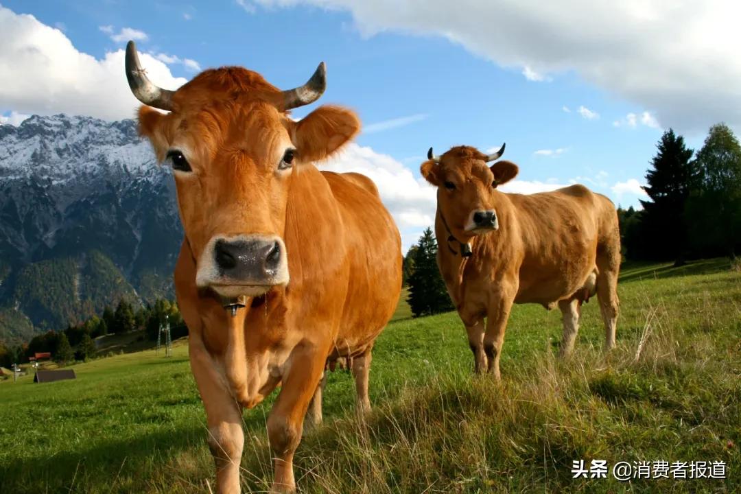 怎么样避免反式脂肪酸的摄入,摄入过多的反式脂肪酸会怎么样呢