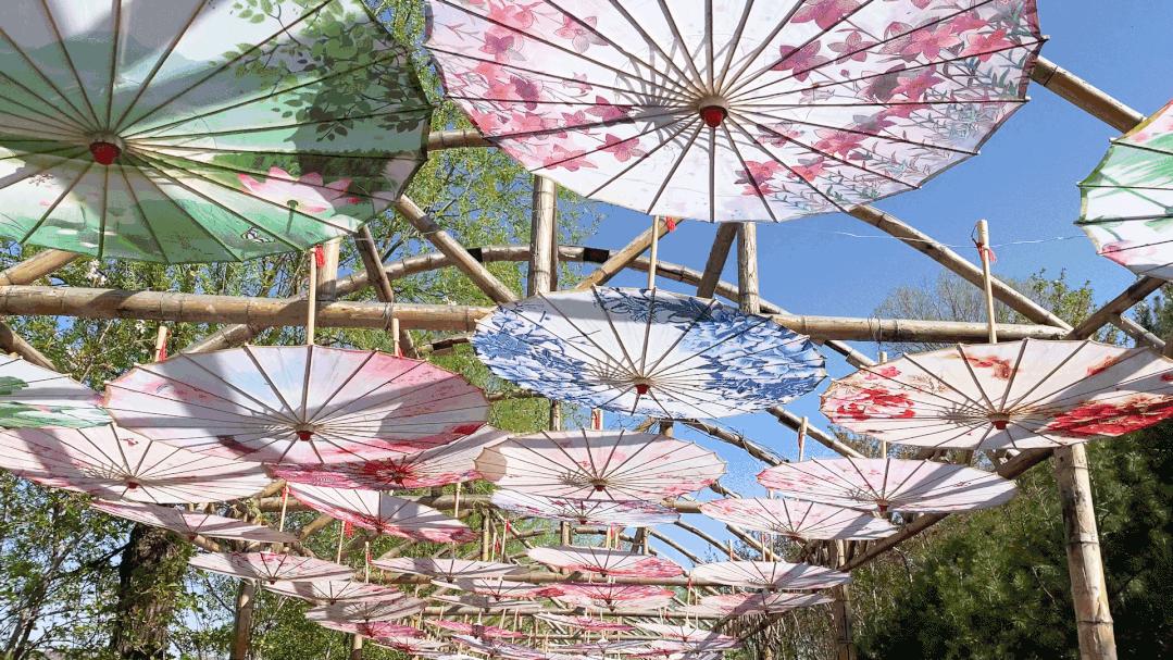 五一游淄博博山|这份出游地图快收好→