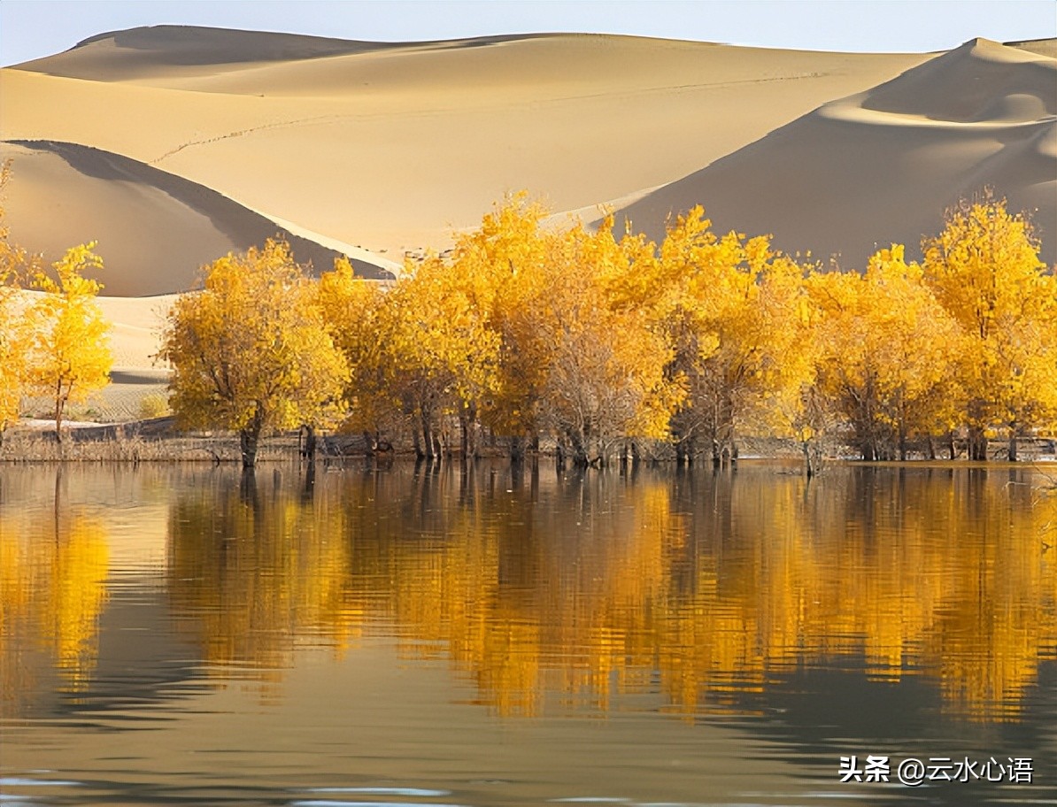 名家讲解杜甫七律,严武七律书法作品