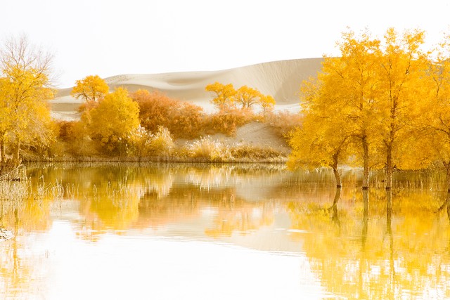 一月到十二月的最美古诗词,十二个月的经典古诗词