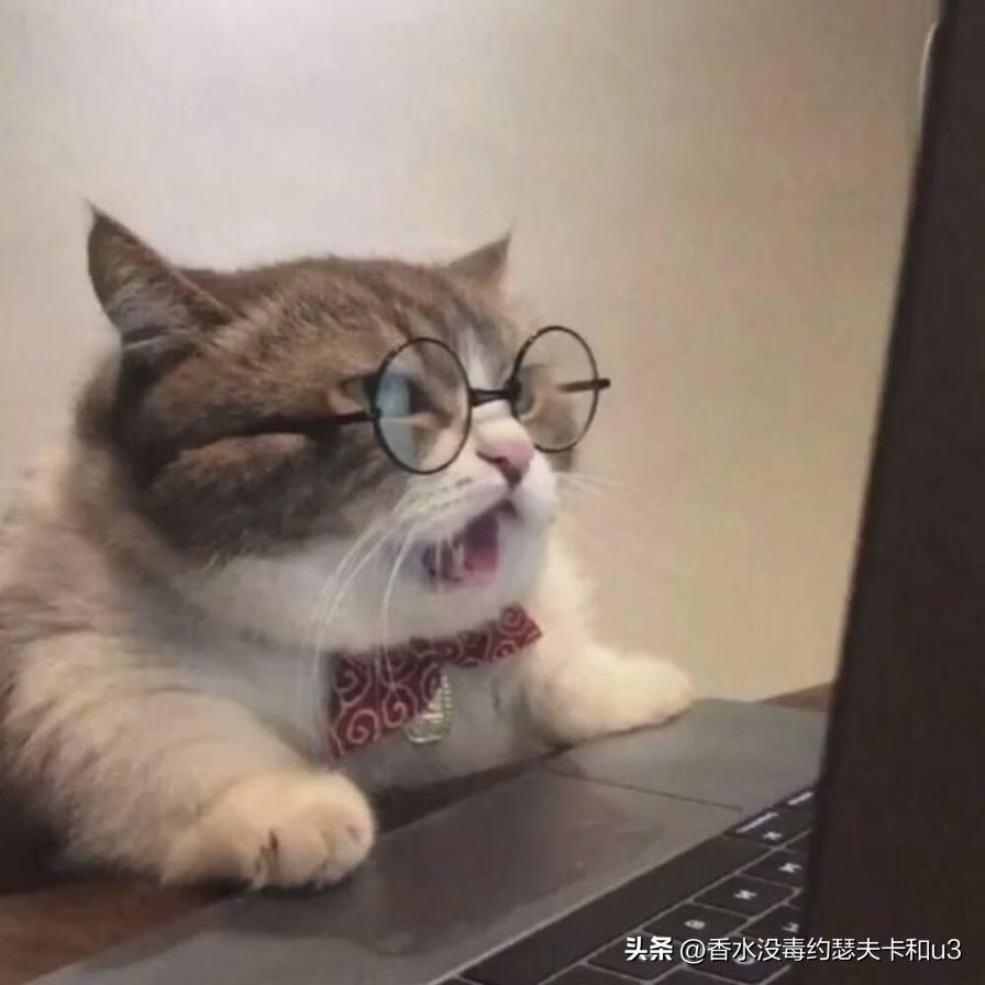 十大网红香水值得入手吗,今年网红香水