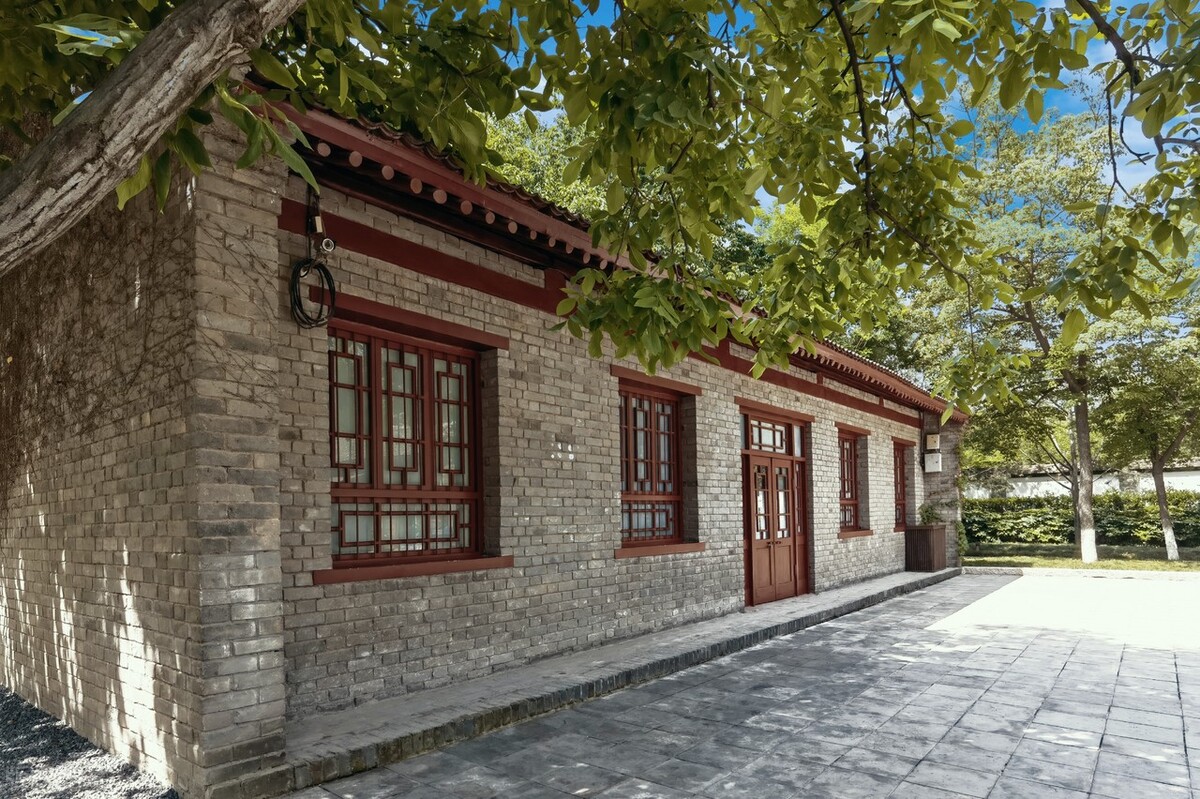 曾是北方首选的行道树,因天量库存而烂大街,国槐树该何去何从?