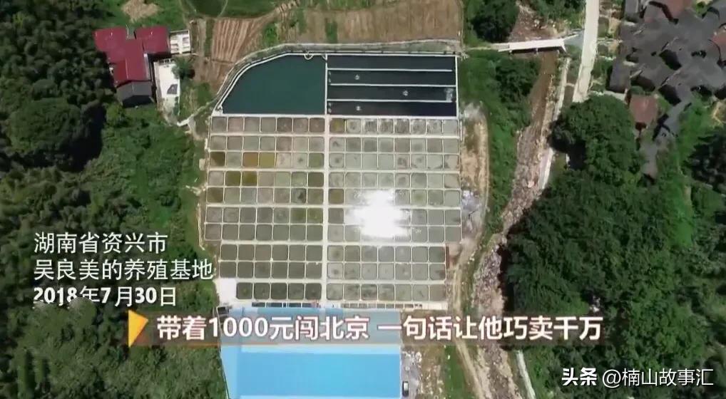 90后小伙一夜暴富2年前买房子,小伙重回16年前买房狂赚百亿