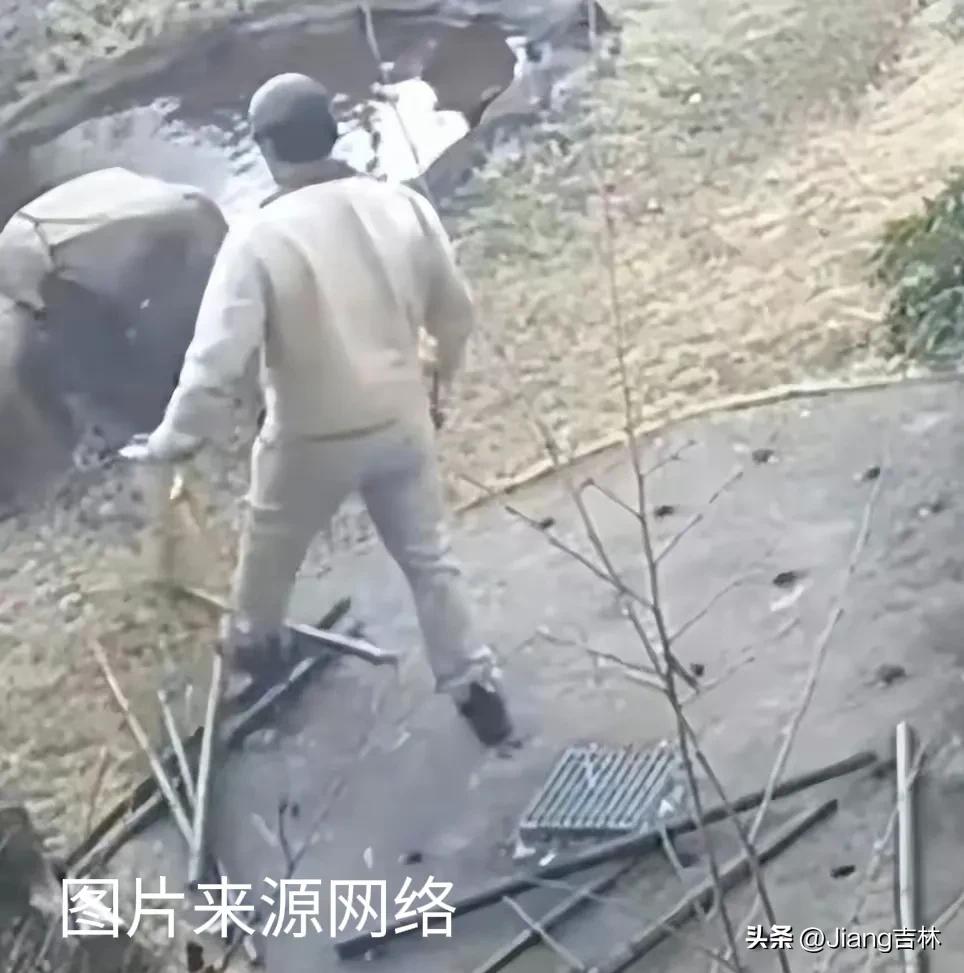 丫丫快点回家,丫丫快回来音乐