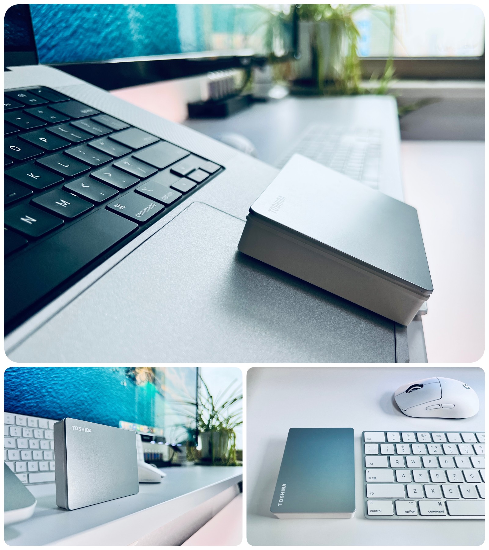 mac移动硬盘读写第三方工具推荐,mac移动硬盘格式怎么设置