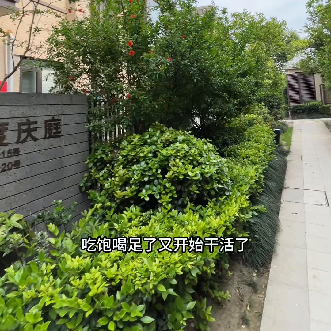 看完不买给我点个行不行，祖宗们！@DOU+上热门