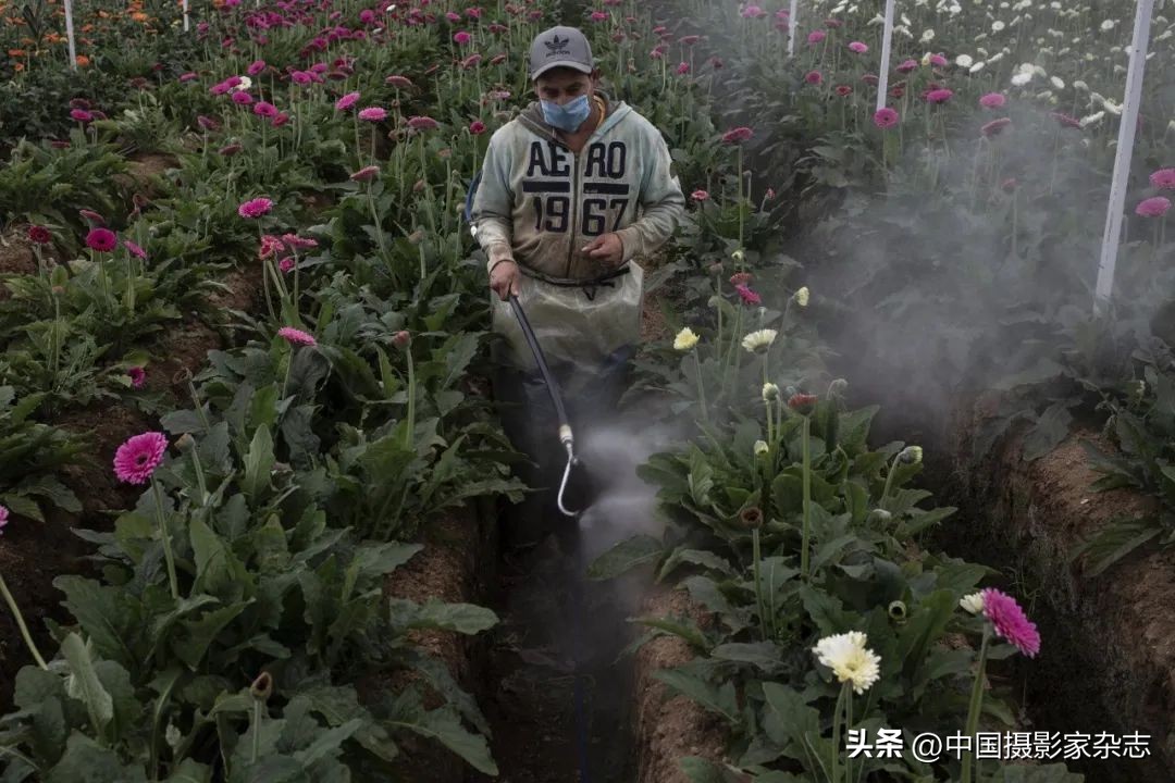 2023年荷赛摄影奖获奖作品,荷赛奖中国获奖者