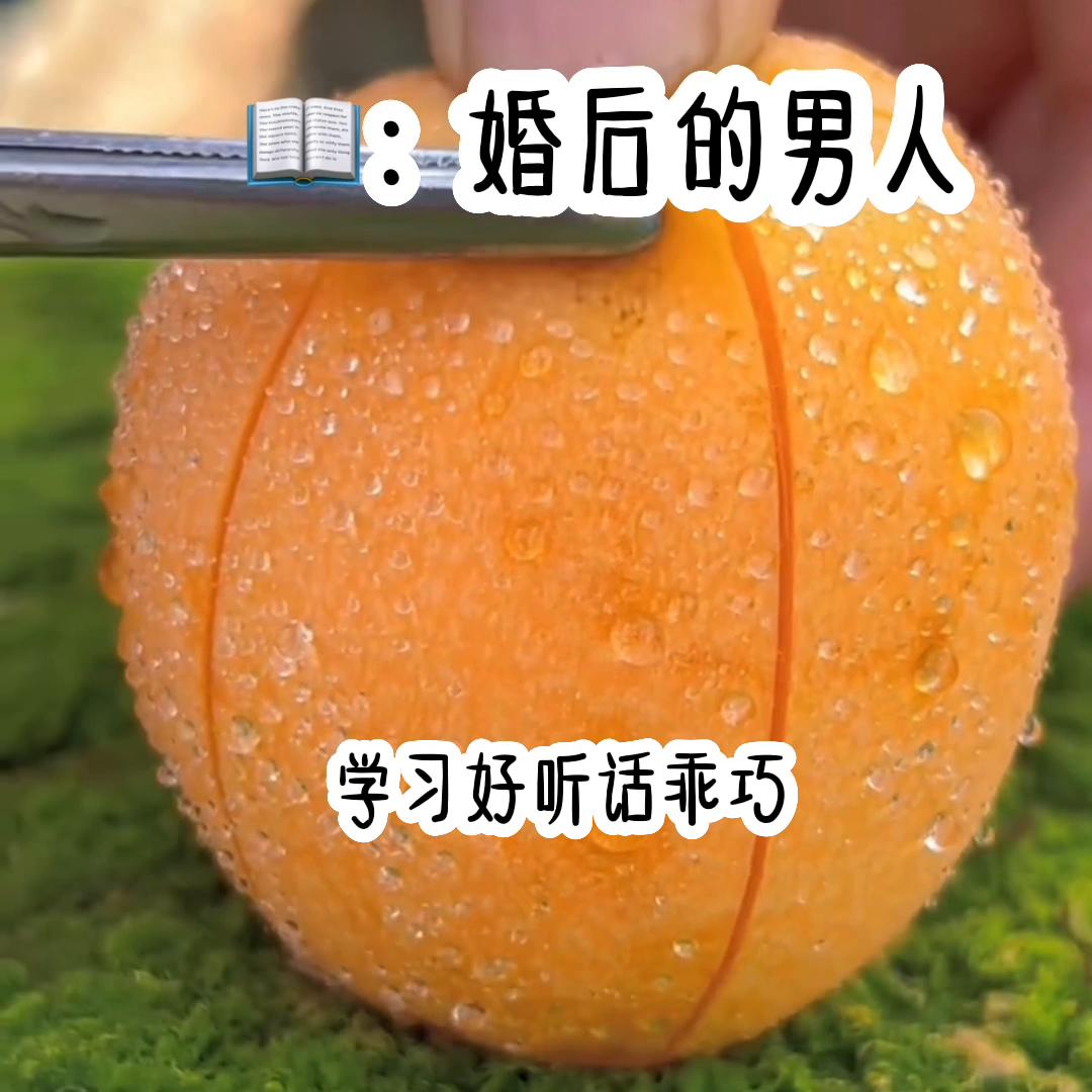 📖茗《婚后的男人》