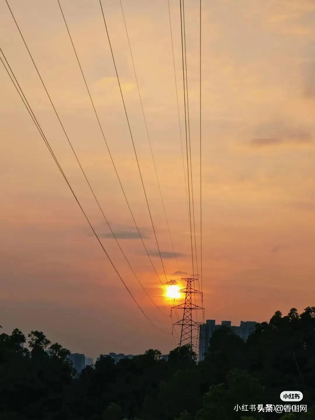 珠海香山湖公园云山栈道一游,珠海香山云道风景太美了