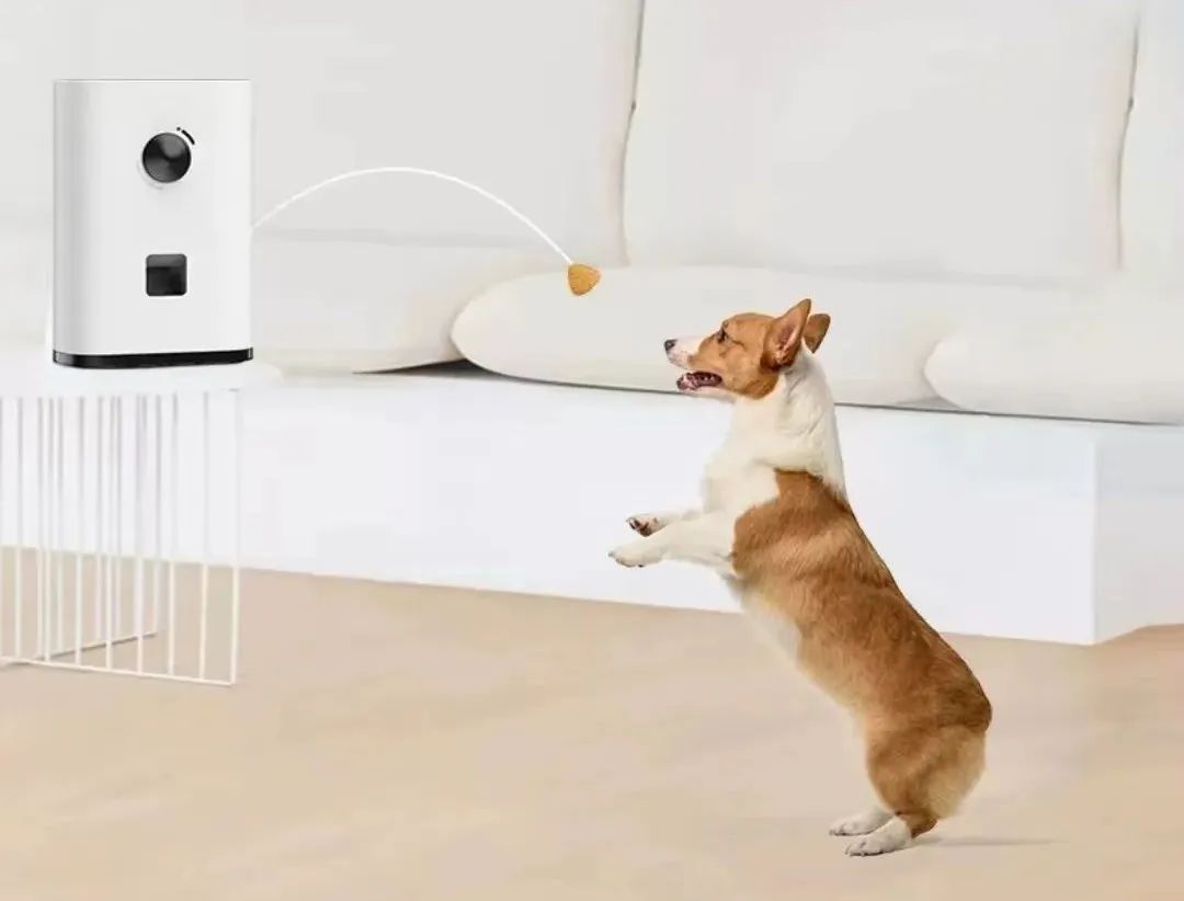 宠物智能用品能否成为新蓝海,新宠物智能产品有哪些