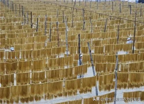 投资小适合农村的创业项目有哪些,最有前景的10个农村创业项目