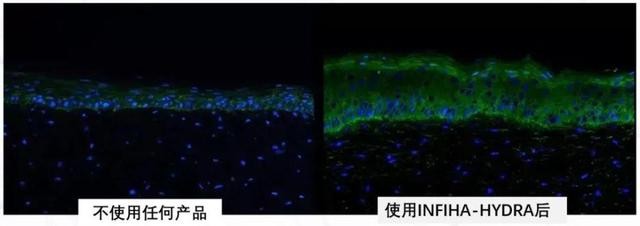 双11美妆品类排行榜,双11大牌必买清单美妆
