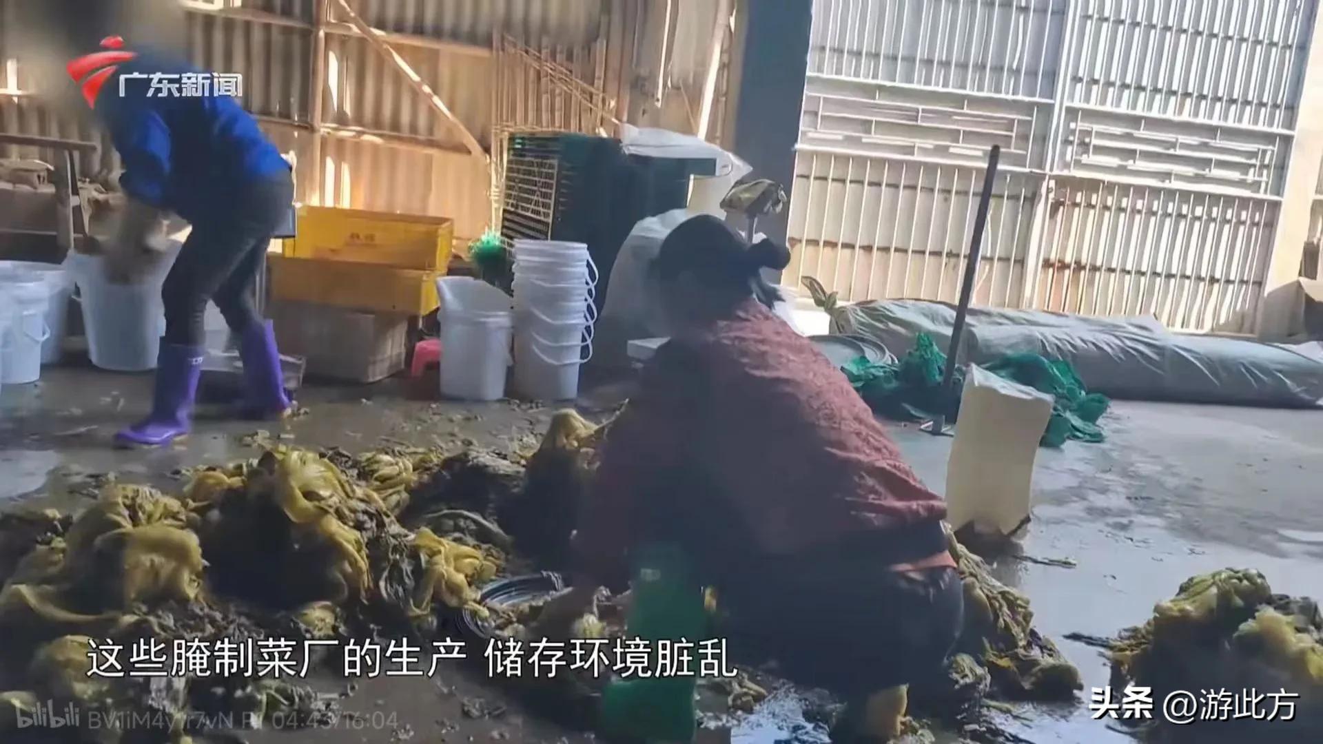 315黑心橄榄菜曝光视频,央视315曝光不合格橄榄菜