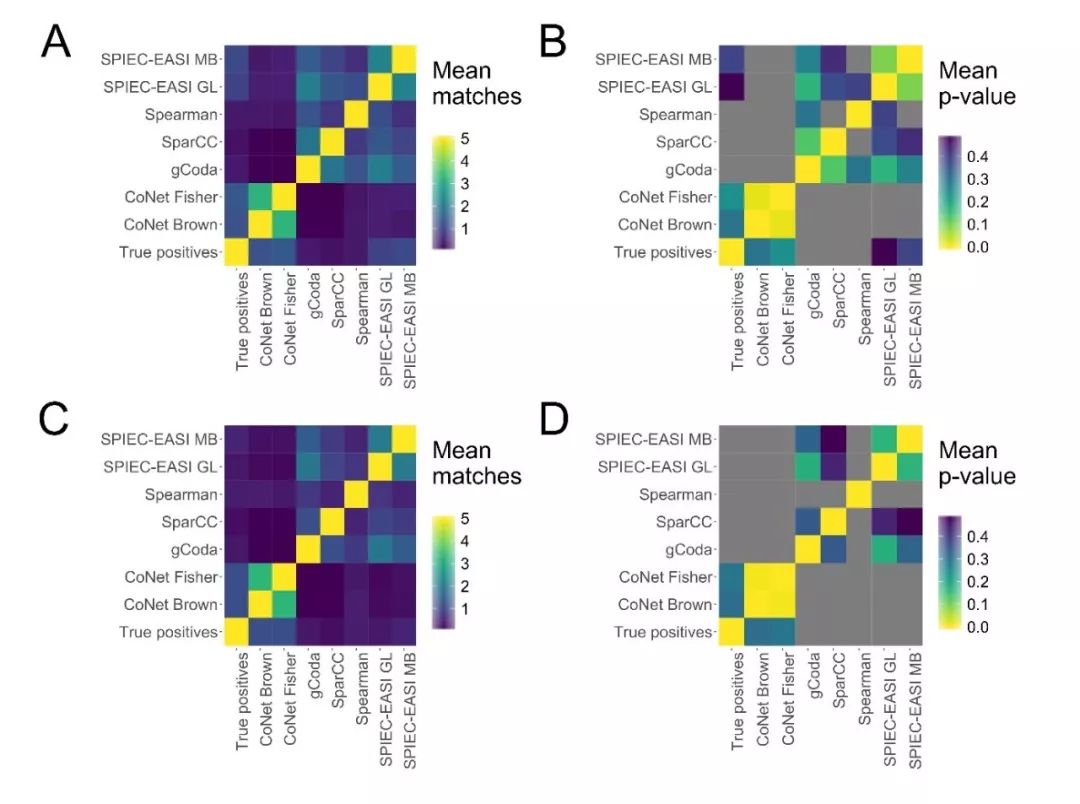 FEMS综述：如何从微生物网络中的“毛线球”理出头绪
