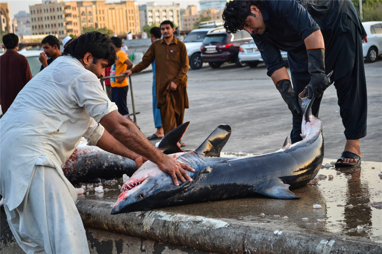 迪拜的日常生活到底有多富,迪拜菜市场