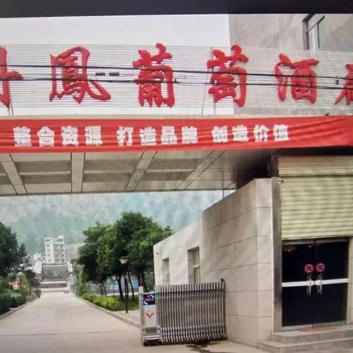 陕西丹凤葡萄酒品牌概念,陕西丹凤葡萄酒厂西安销售点