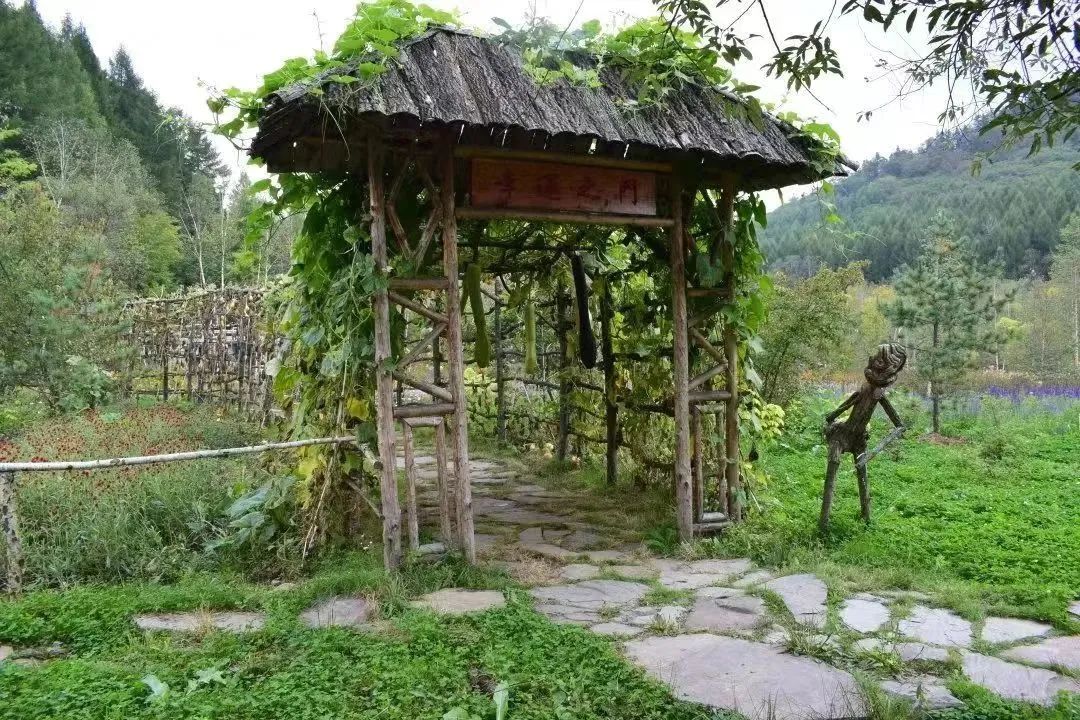 吉林白山九中毕业旅行,毕业旅行就去云南