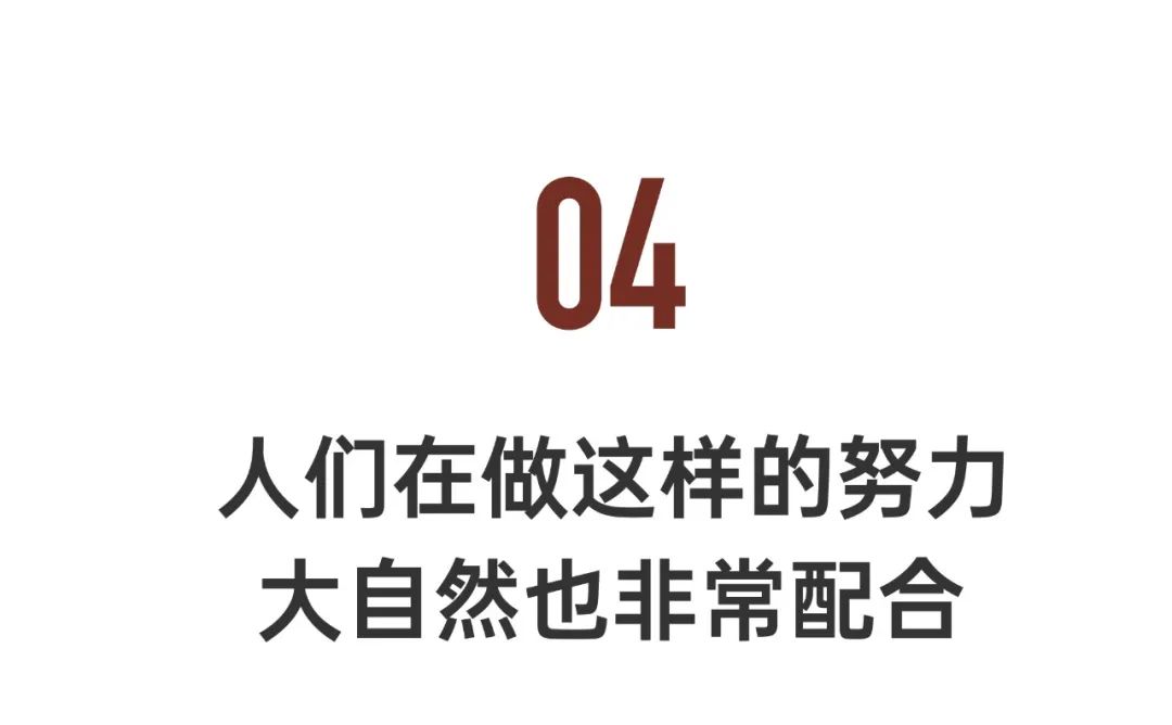 中国人冒死拍的纪录片,一群中国人冒死拍摄