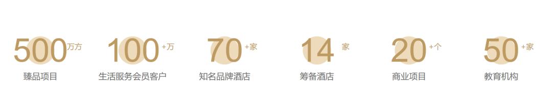 武汉十大本土开发商,武汉本土开发商现状