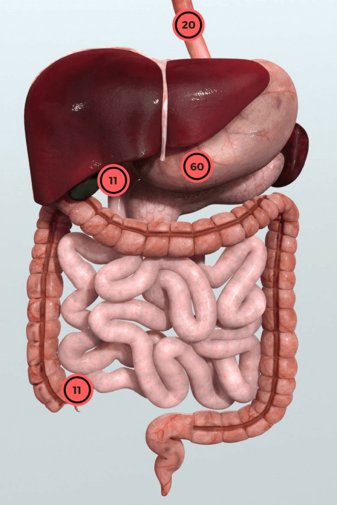 不小心吞进了乐高怎么办,误食乐高