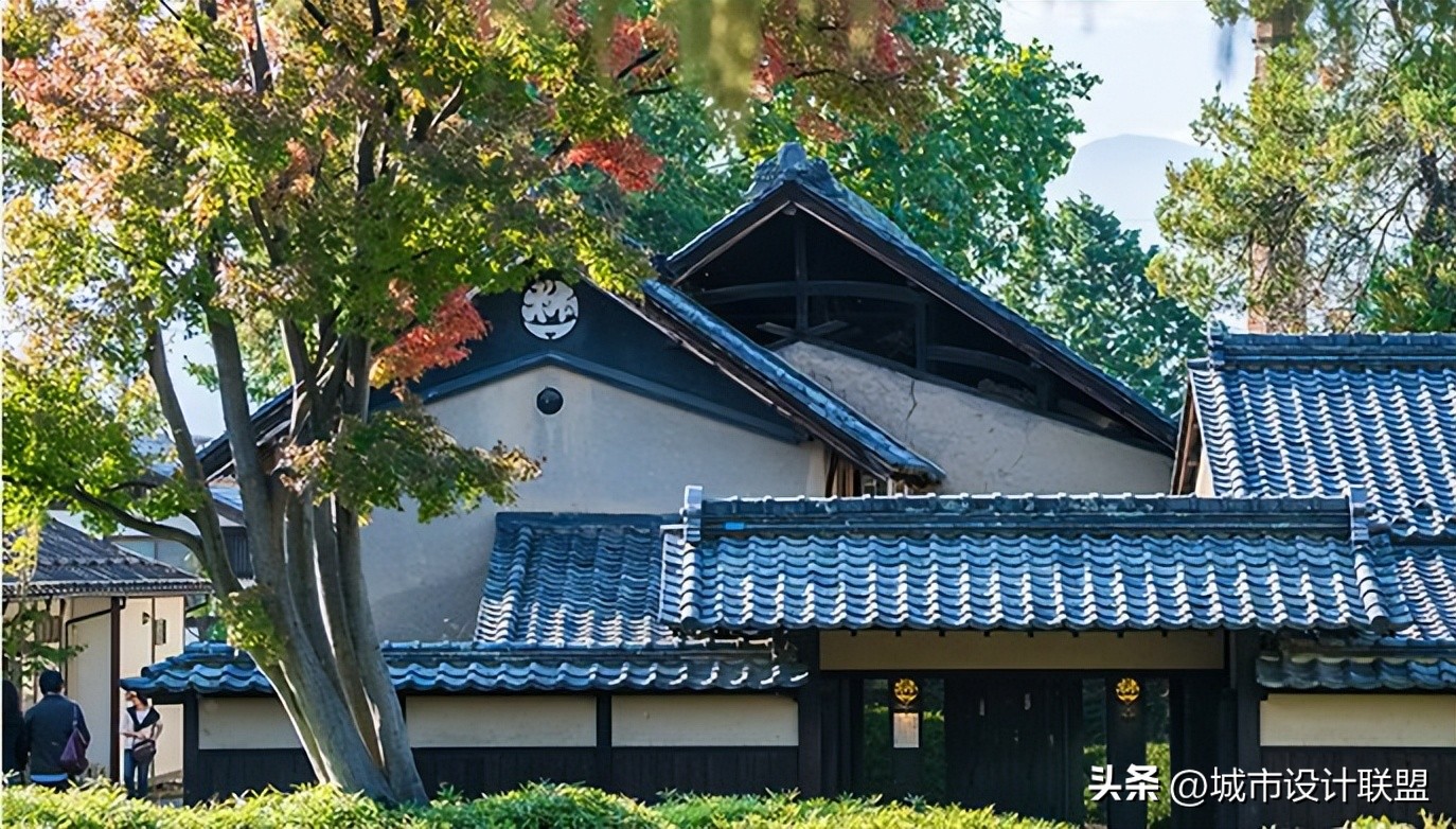 乡村振兴和乡村治理典型经验,乡村治理的发展与创新