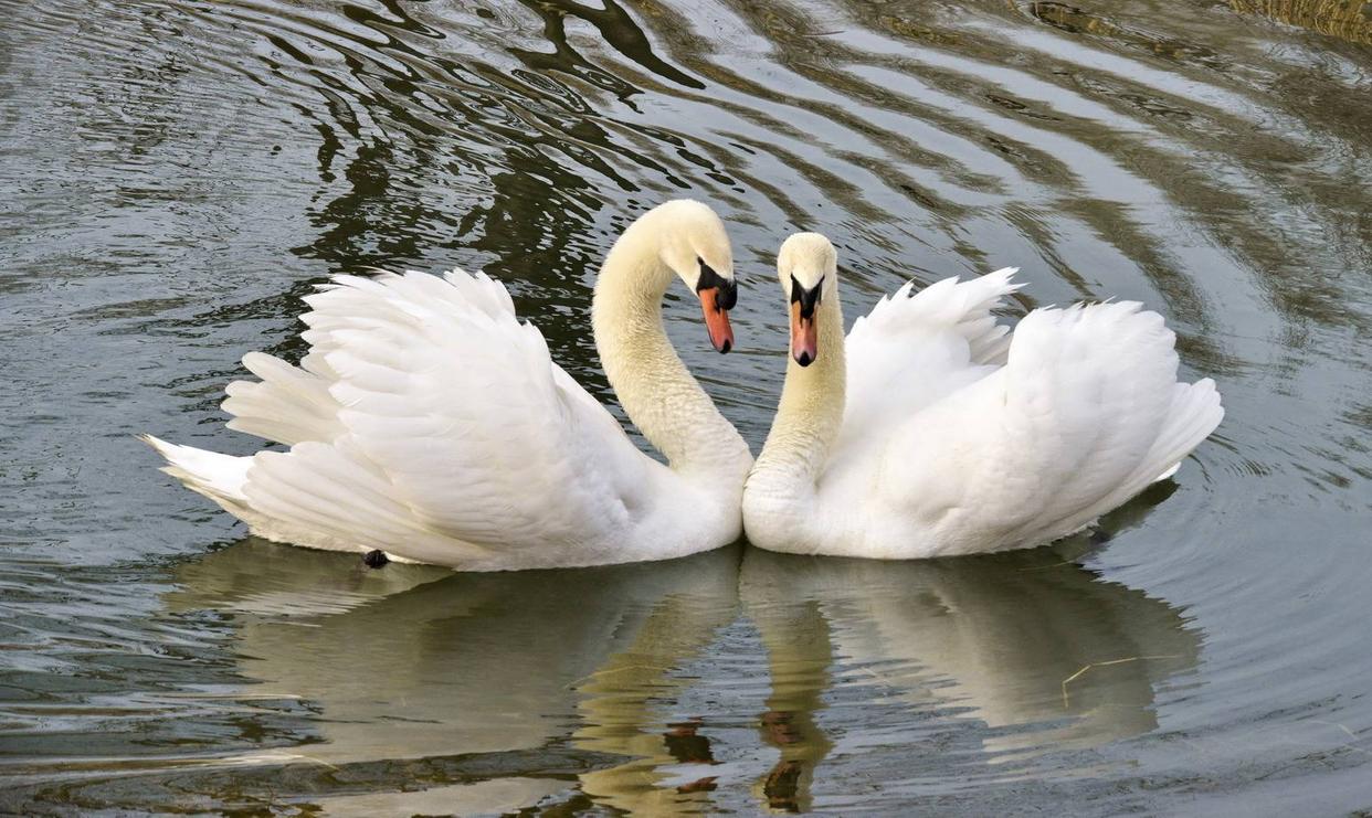 郑州经开区赏花胜地,三月郑州附近有什么赏花的