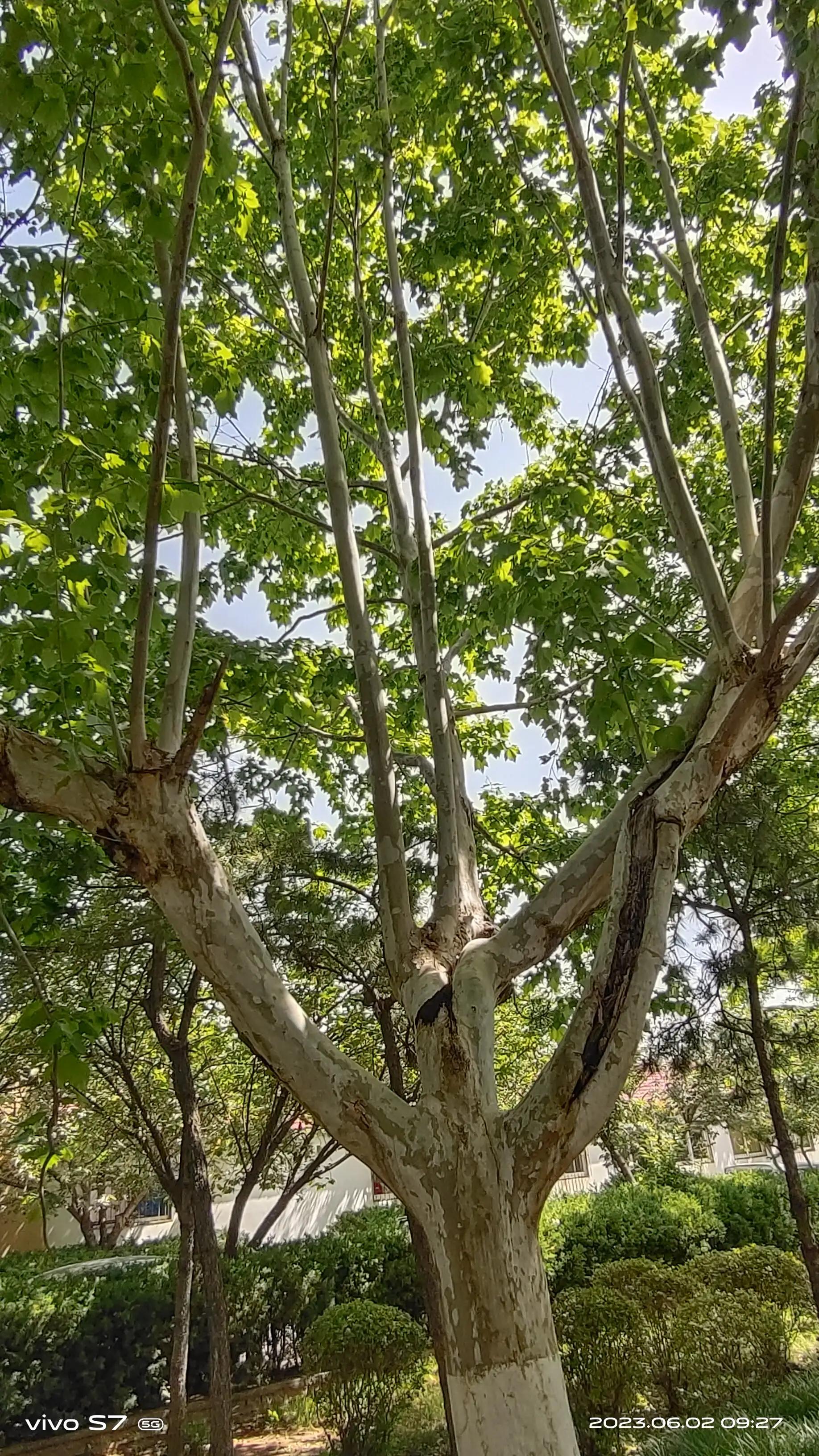 就诊问问小程序,就诊助理小程序