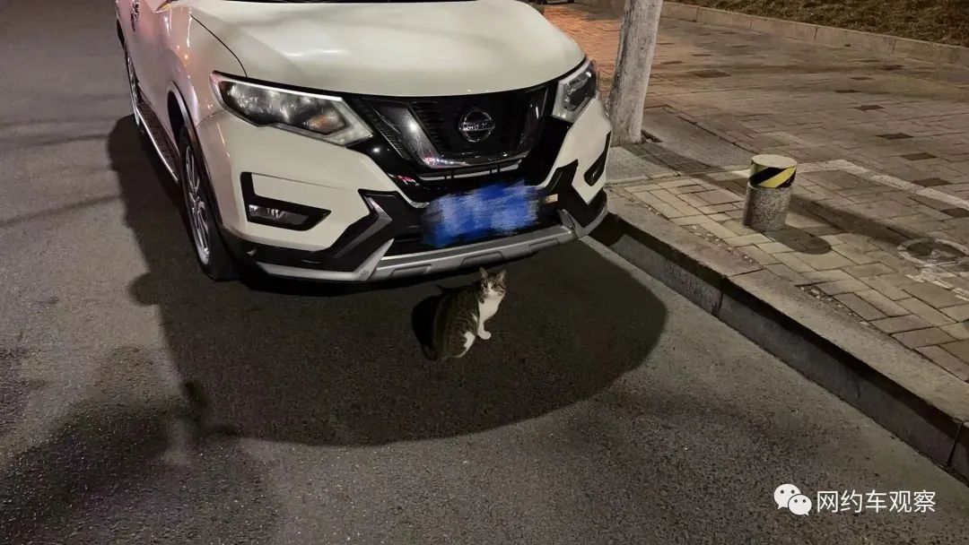 遇到无证网约车,四线城市无证网约车