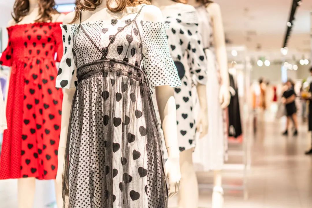 太平鸟雪天枝头觅食图片,东北大雪中太平鸟枝头觅食