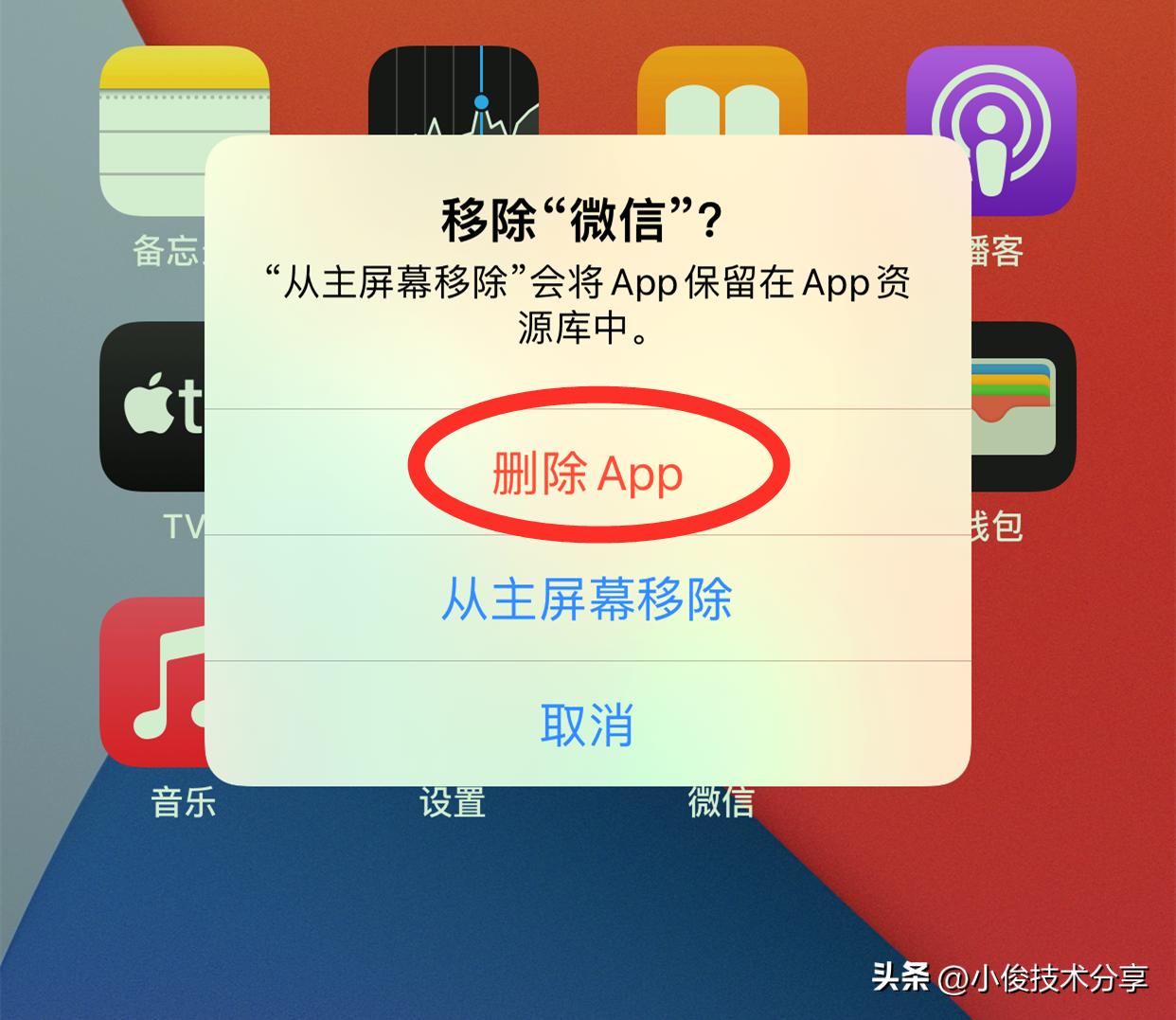 苹果手机怎么防止别人卸载软件,苹果手机自动删除软件怎么关闭