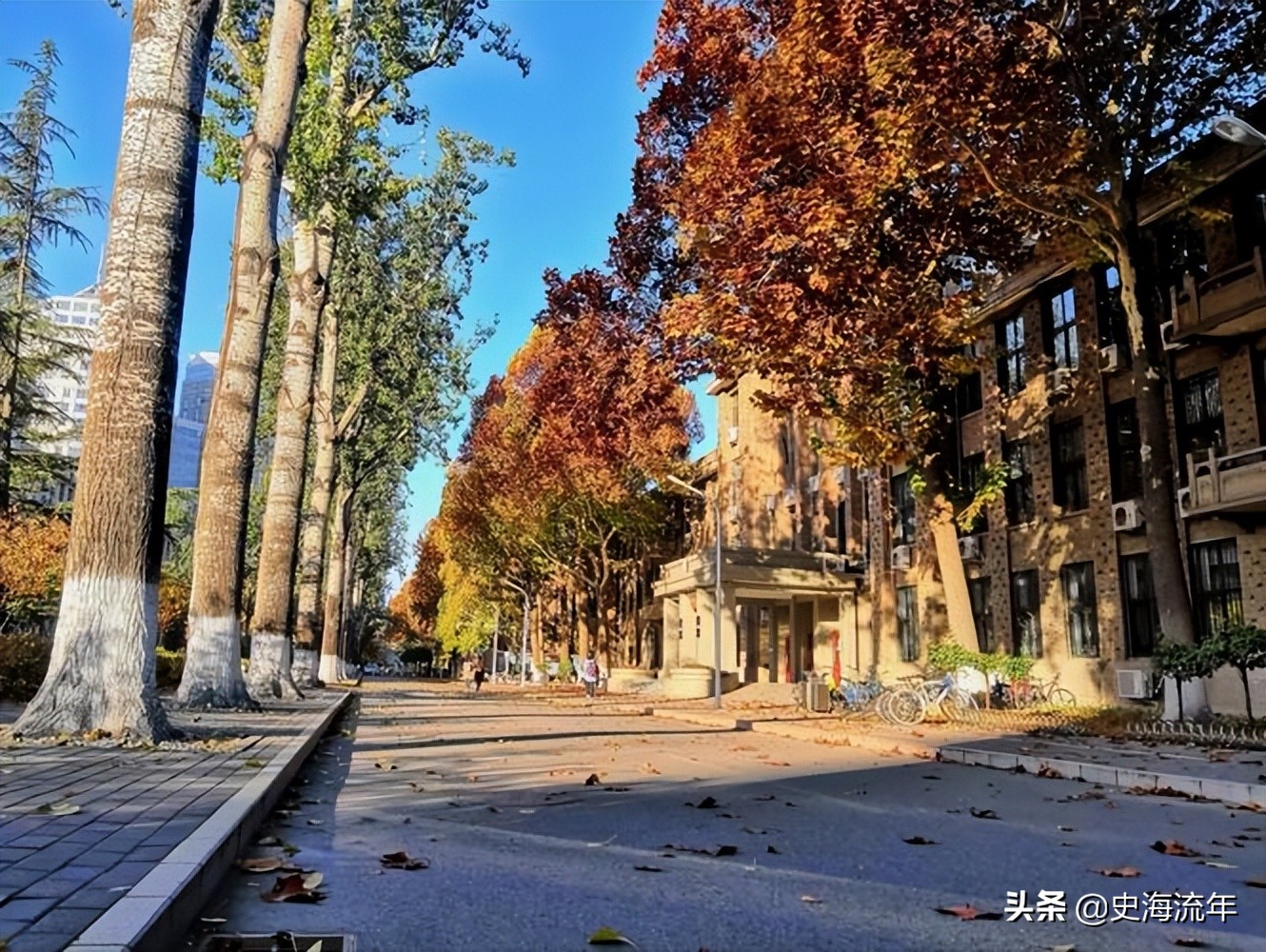 排名世界第5，强基和统招录取分数线较低，2022中农大录取攻略