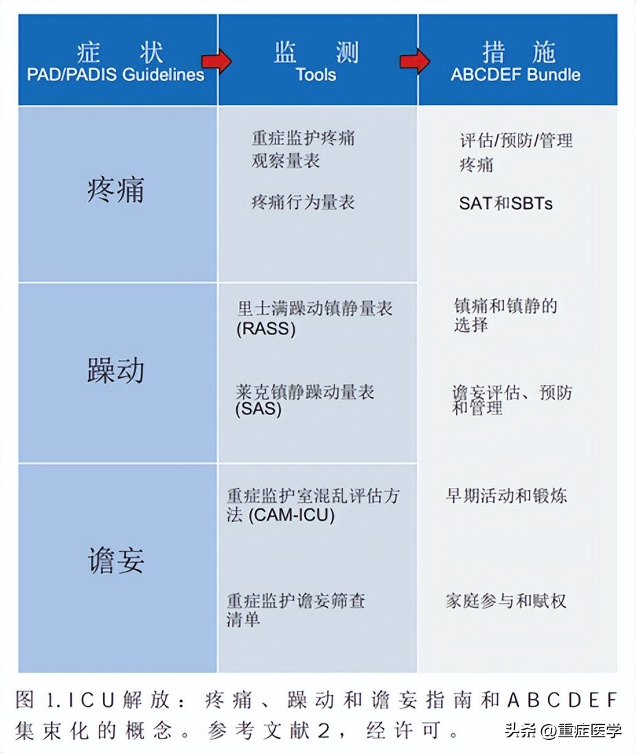 呼吸治疗师的ABCDEF